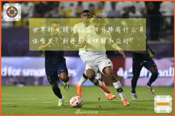 世界杯竞猜网站盘口升降有什么具体含义？新手如何理解和应对？