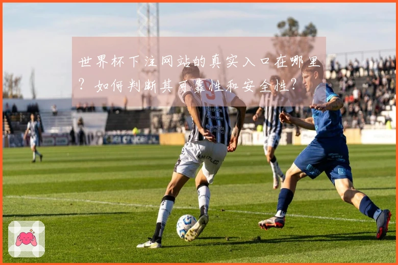世界杯下注网站的真实入口在哪里？如何判断其可靠性和安全性？