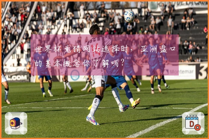 世界杯竞猜网站选择时，亚洲盘口的基本概念你了解吗？