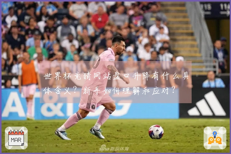 世界杯竞猜网站盘口升降有什么具体含义？新手如何理解和应对？